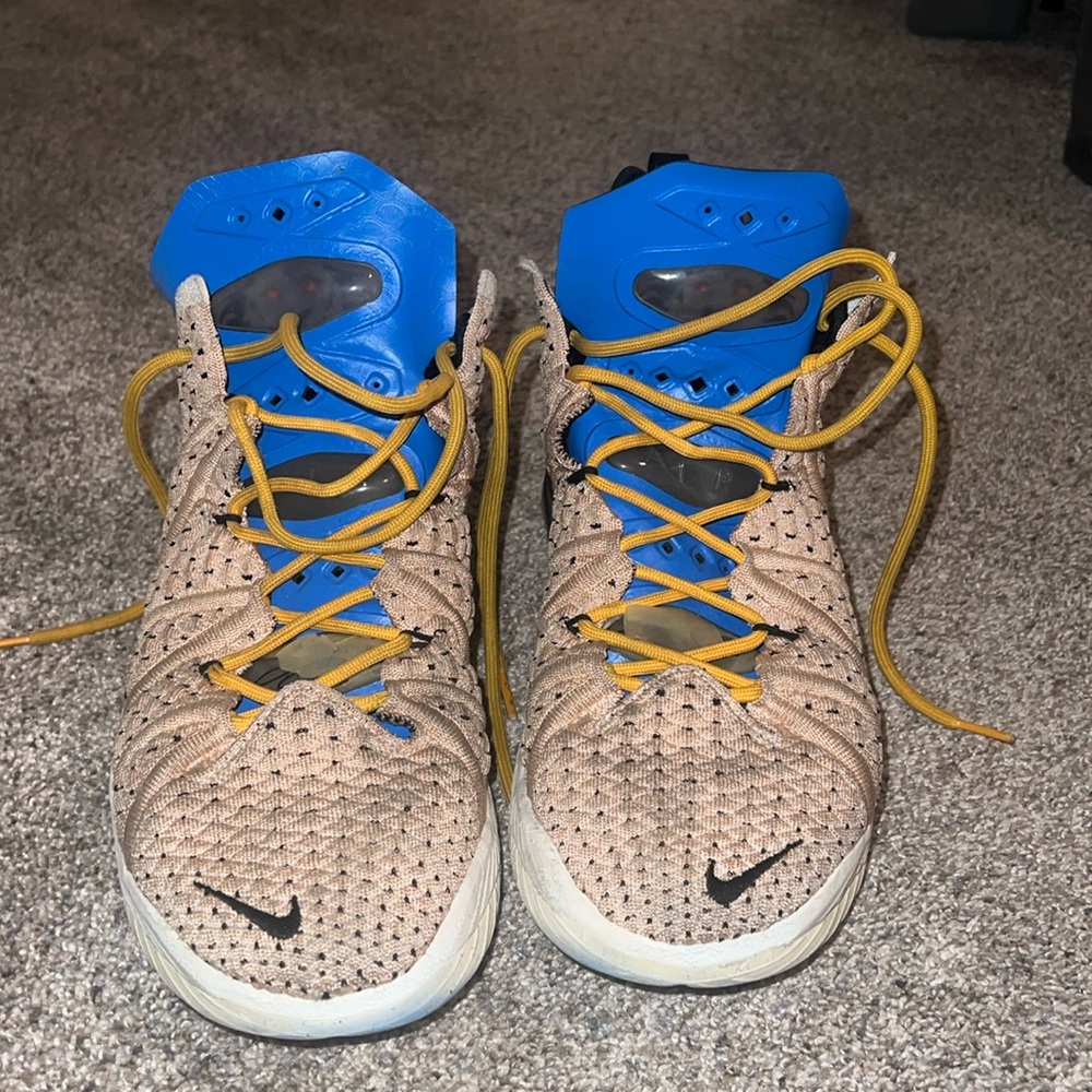 Lebron shoes